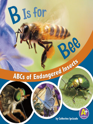 cover image of B Is for Bees